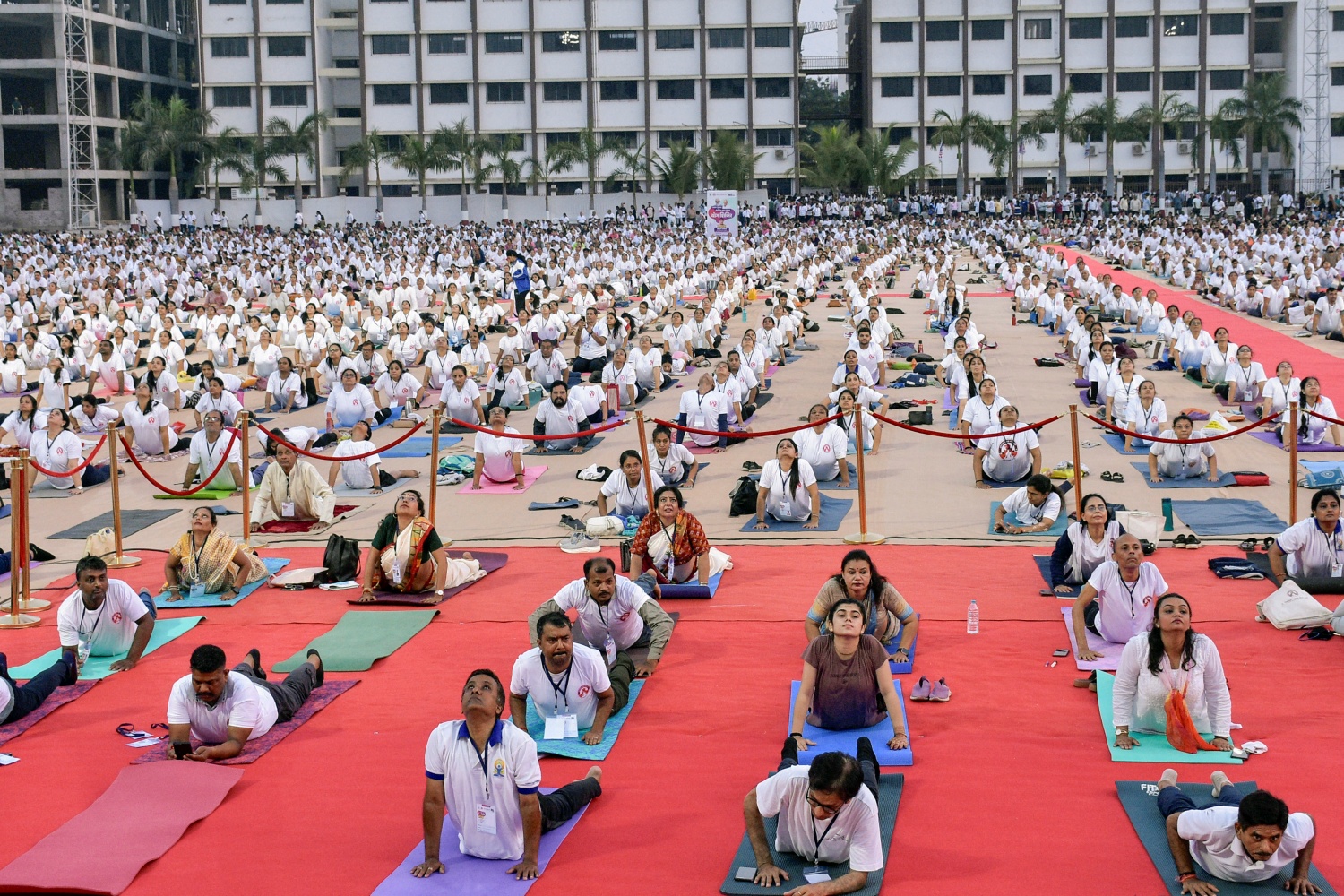 NFHS SURVEY OBESITY HIGH BLOOD SUGAR HEALTH AND FAMILY WELFARE MINISTRY