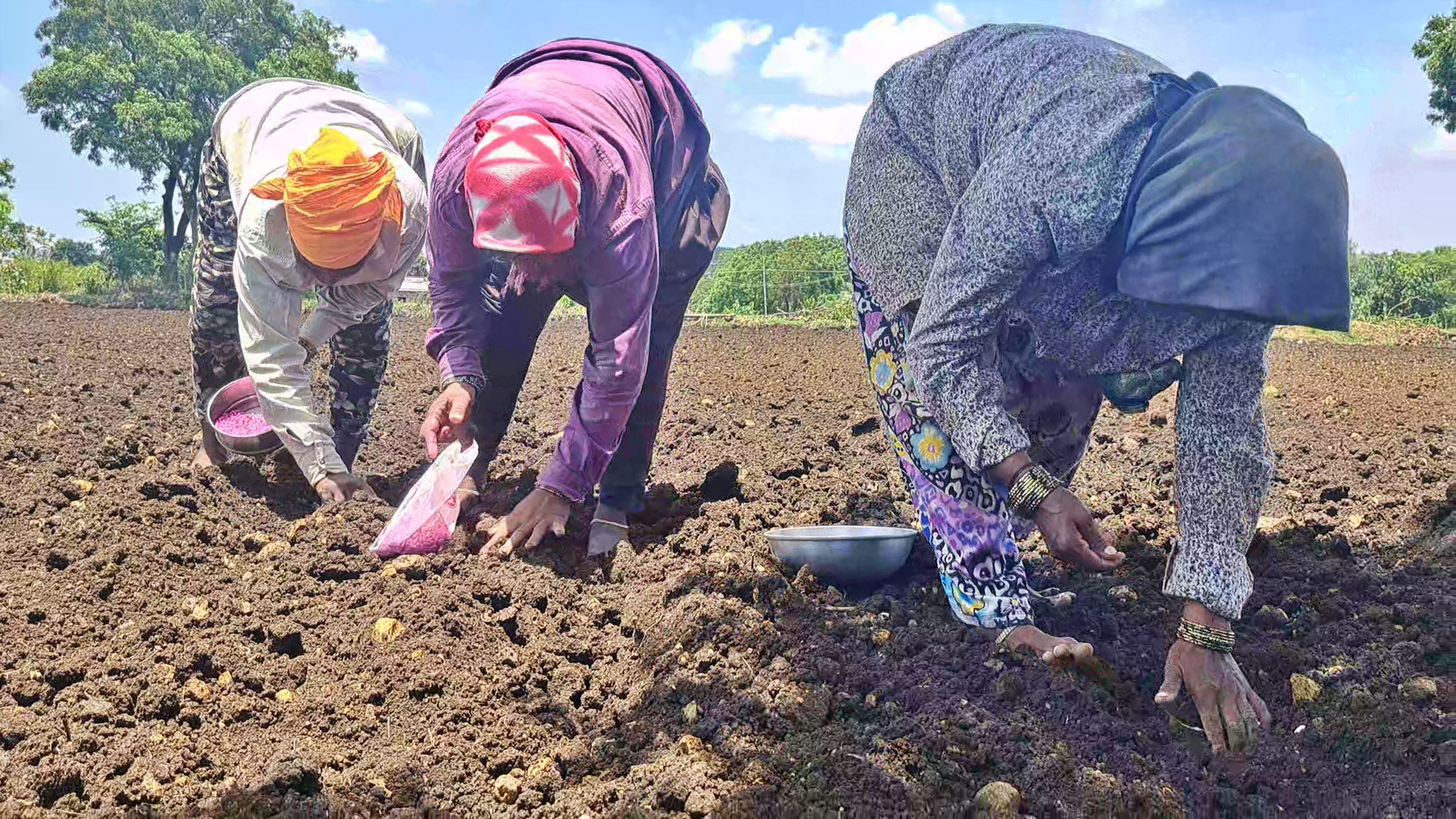 the-demand-for-fertilizer-in-belagavi-has-increased-but-the-farmers-are-not-being-supplied-in-the-required-quantity