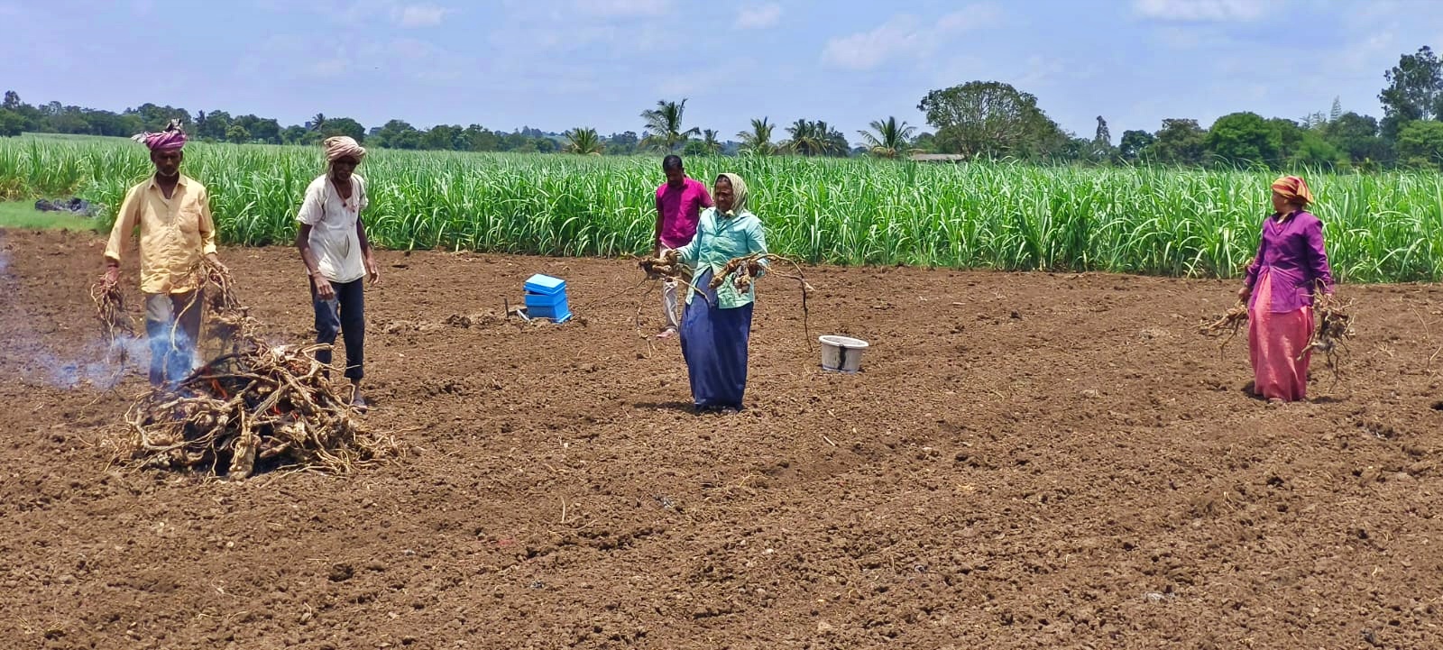 the-demand-for-fertilizer-in-belagavi-has-increased-but-the-farmers-are-not-being-supplied-in-the-required-quantity
