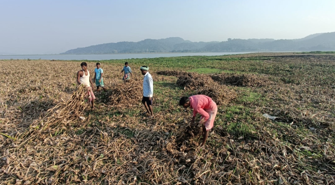 Two entrepreneurial youths from Guwahati make paper from water hyacinth