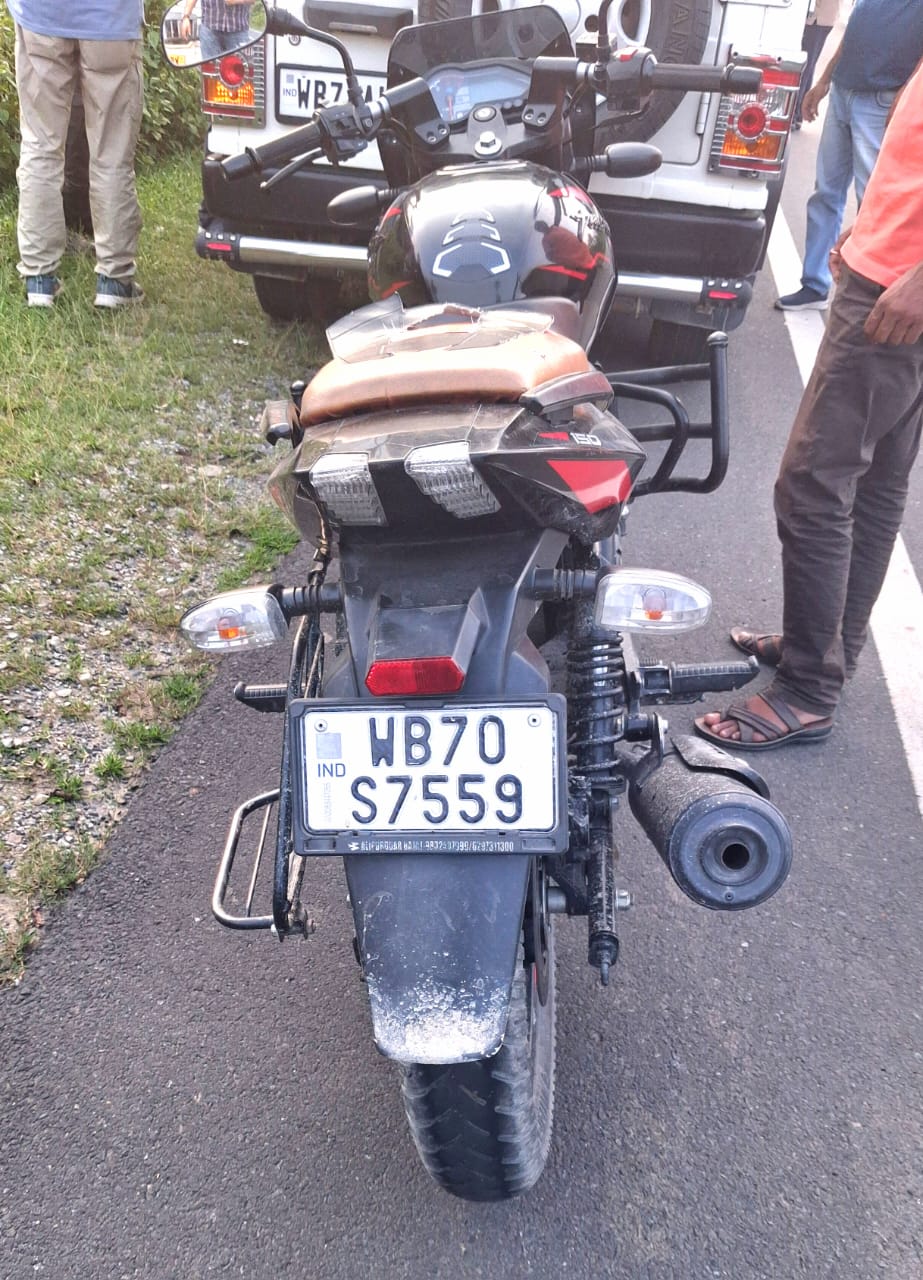 Smuggling Elephant Tusks