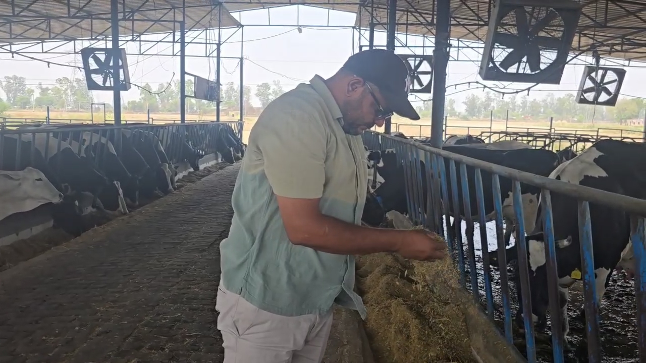Nirmal Singh of Karnal has established a multi crore high tech dairy farm using Israeli technology