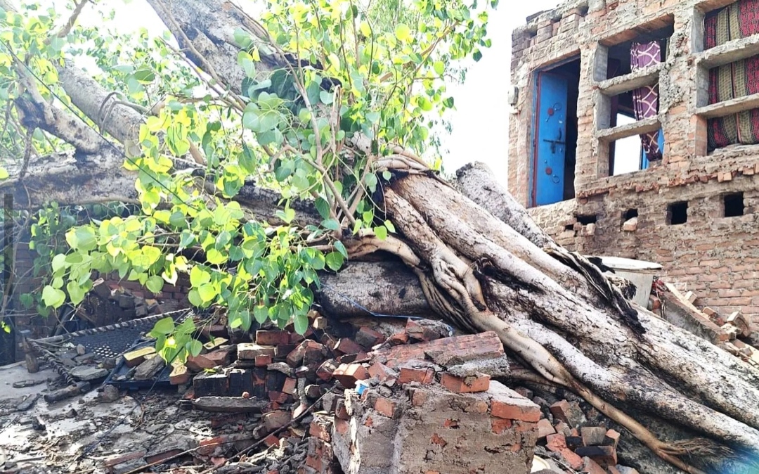 Photo Credit: ETV Bharat
