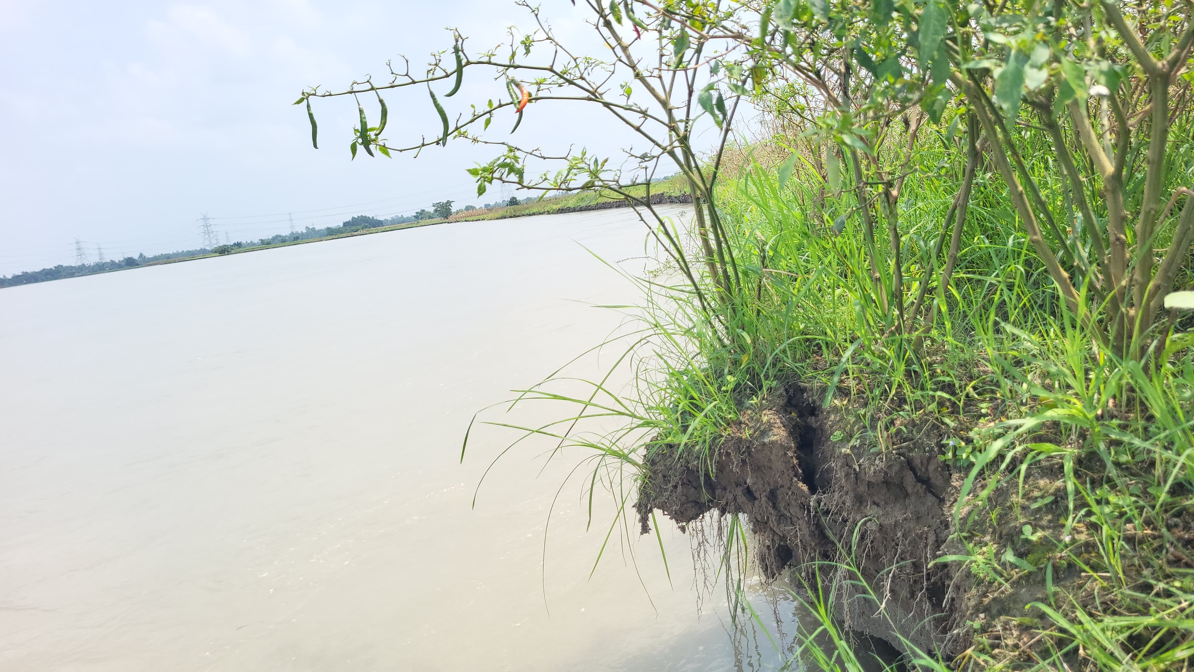 Teesta Erosion at Marichbari