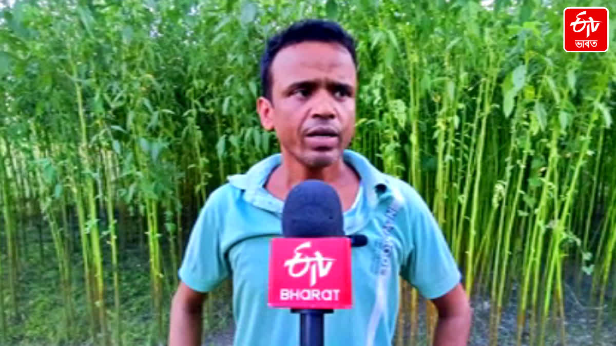 life struggle of cultivator Ismail Mondal