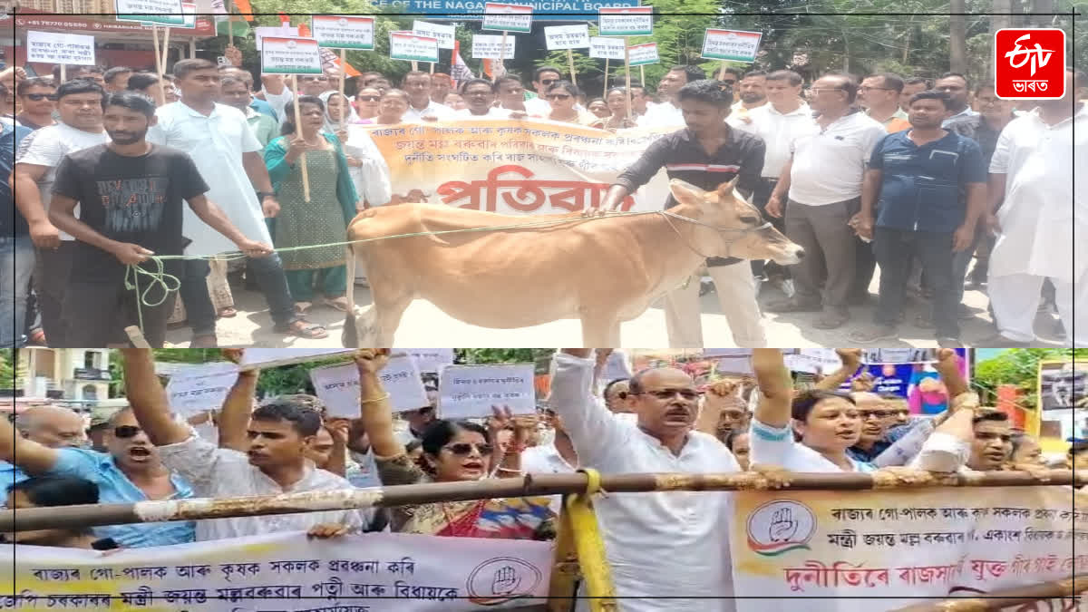 congress protest