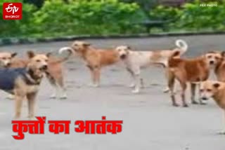 बस्ती में आवारा कुत्तों ने बालिका ली जान.