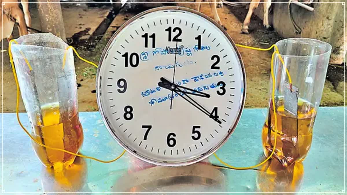 Clock Works with Cow Urine