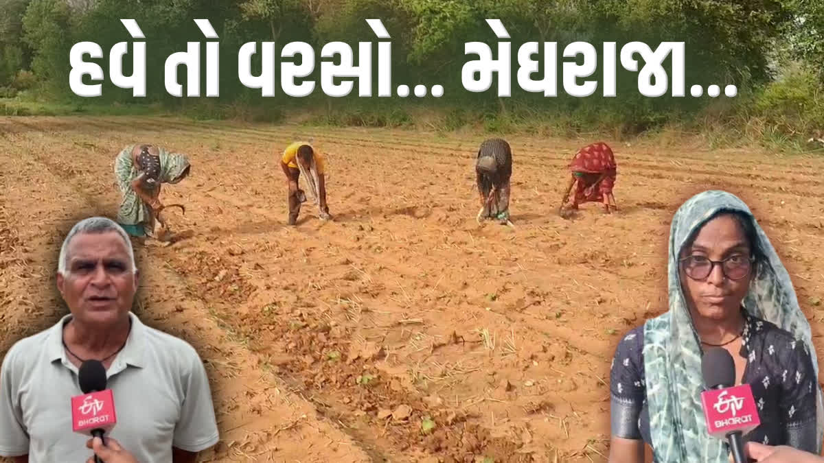 Etv Bharat