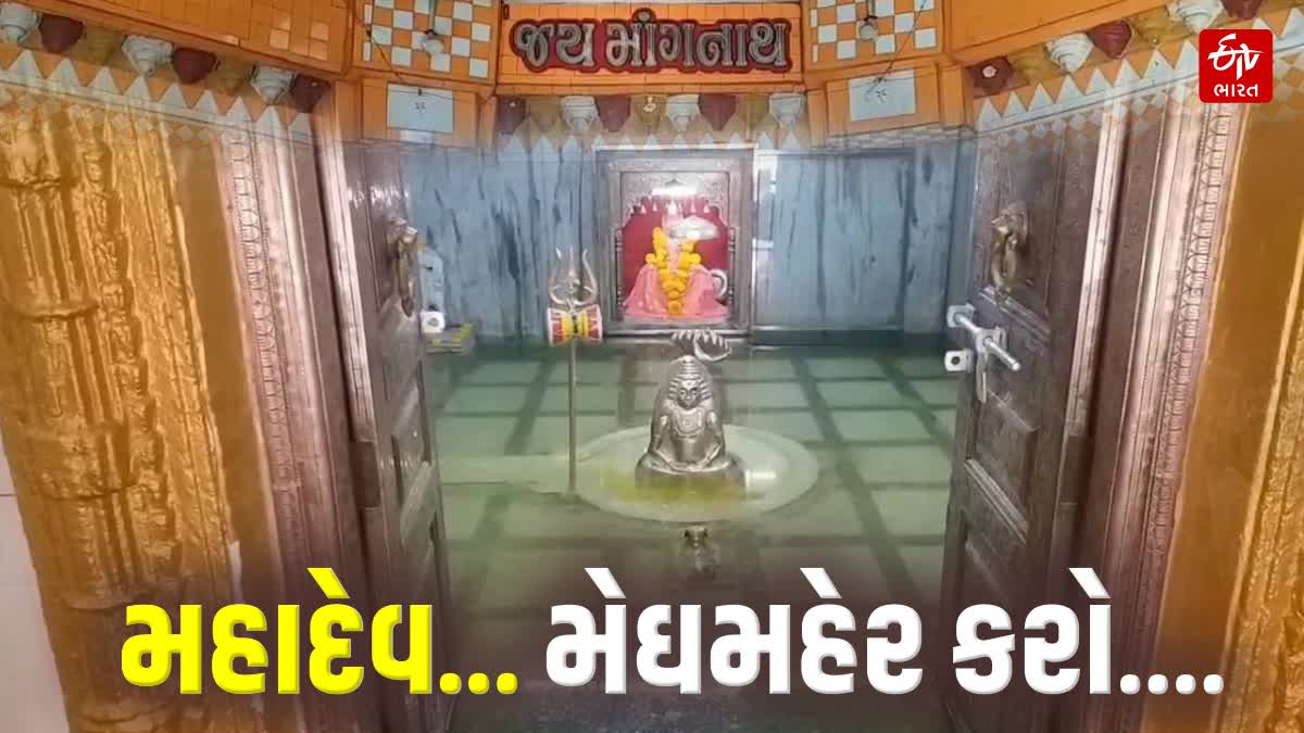 Etv Bharat Gujarat