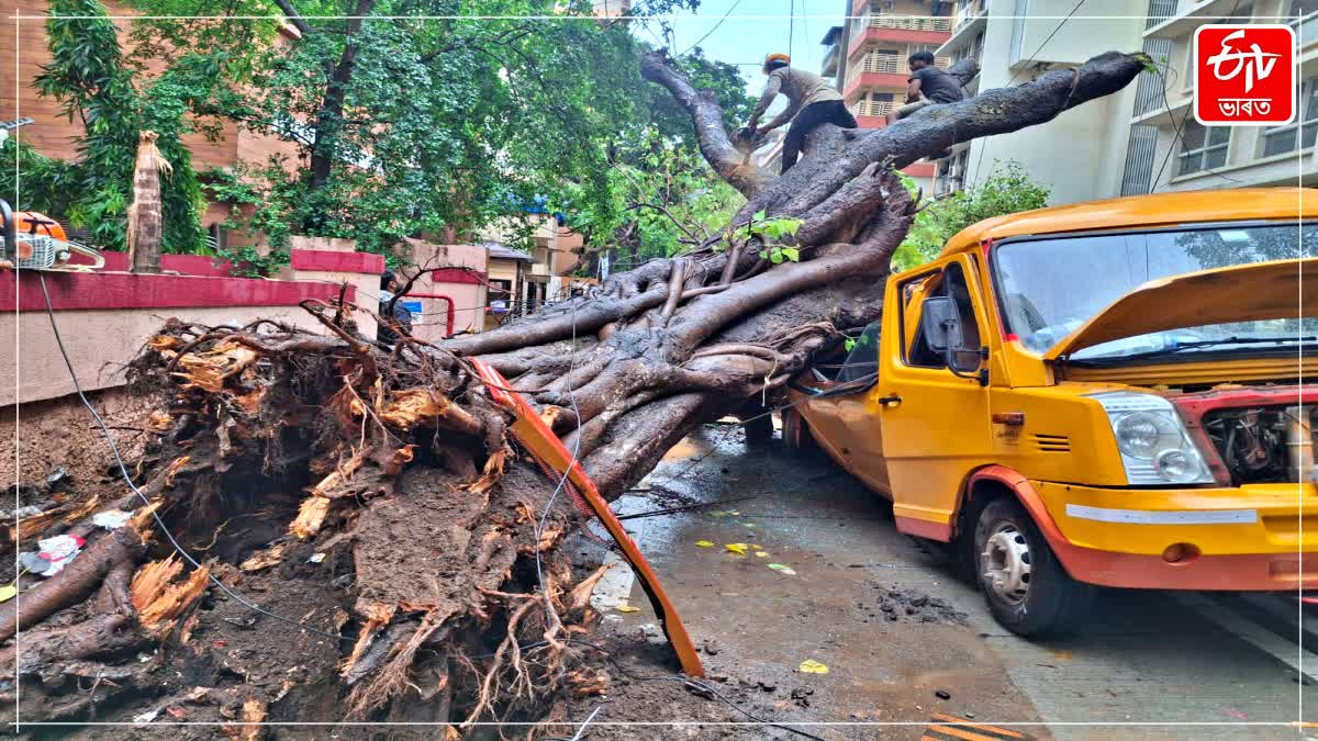Tree Crashes Onto School Bus in Chembur One Student Killed Four Injured