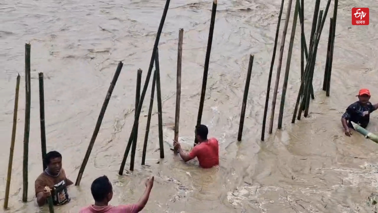 Dikhari river erosion