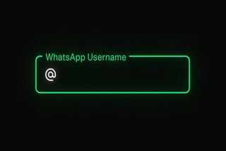 WhatsApp Usernames Let You Chat Without Sharing Numbers