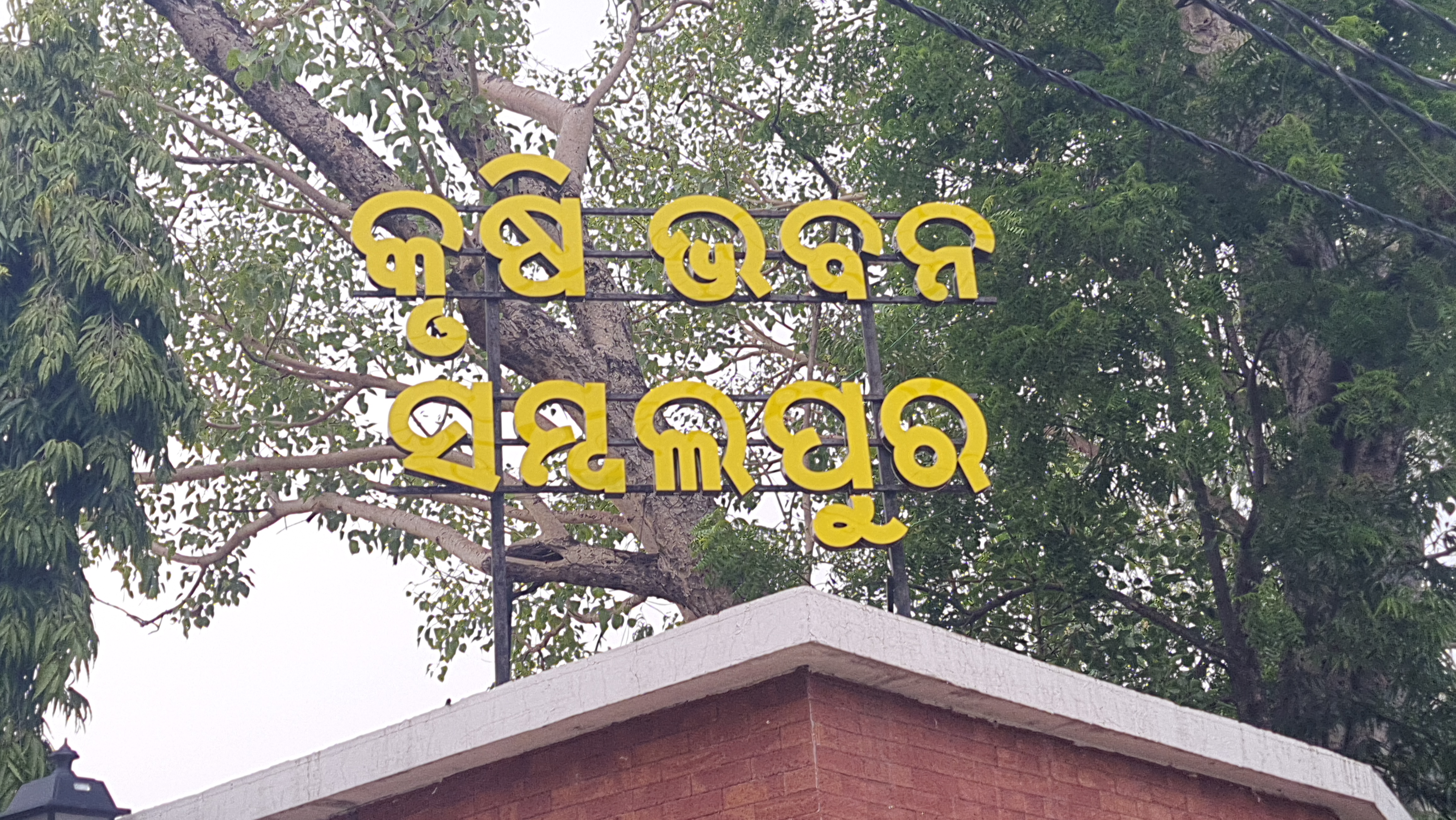 ସମ୍ବଲପୁର ଜିଲ୍ଲା କୃଷି ଭବନ