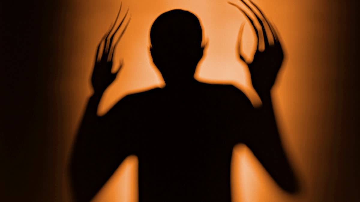 Do ghosts really exist? preeti sarkars, gourab tapadar react after horror film amish release