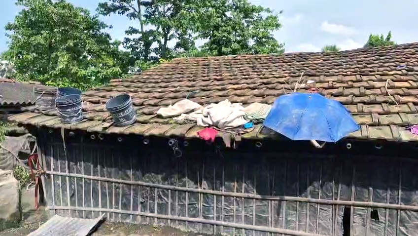 freedom fighter family