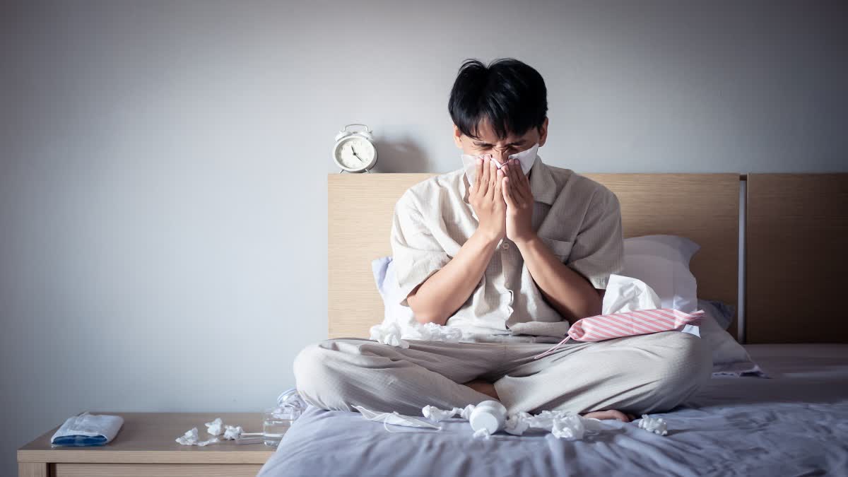 How swine flu attacks the body