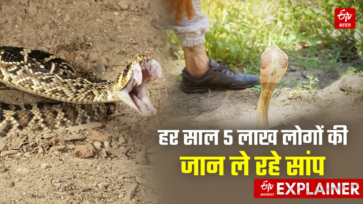 सांपों के काटने से भारत में सबसे ज्यादा मौत.