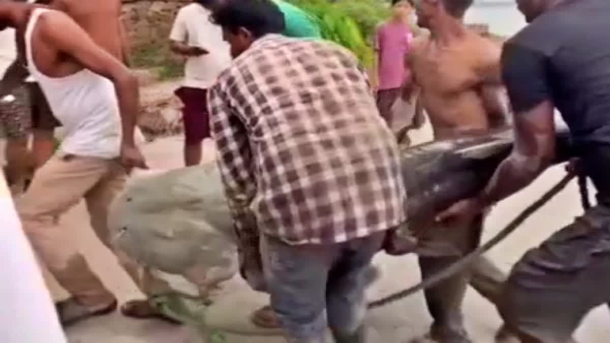 nepal flood