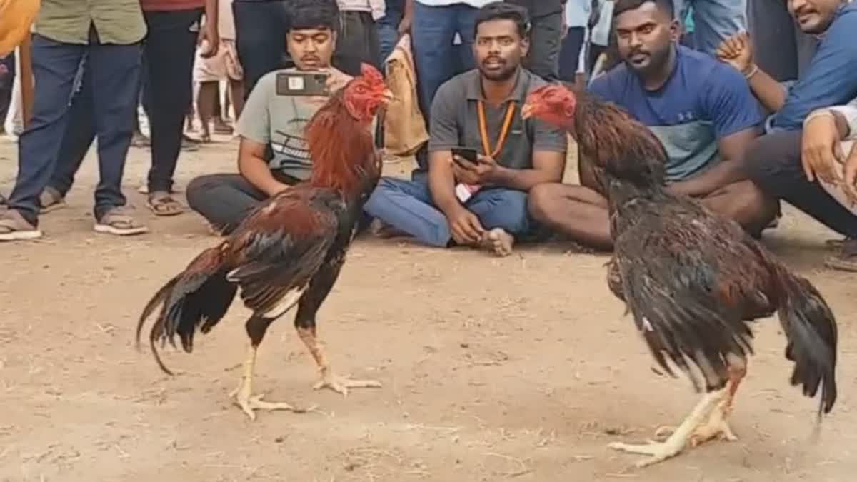 கோப்புப்படம்