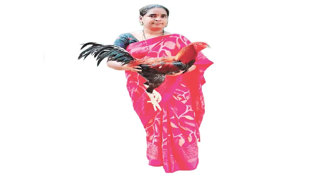 Ratnakumari Successfully Runnning a Rooster Farm With Profit