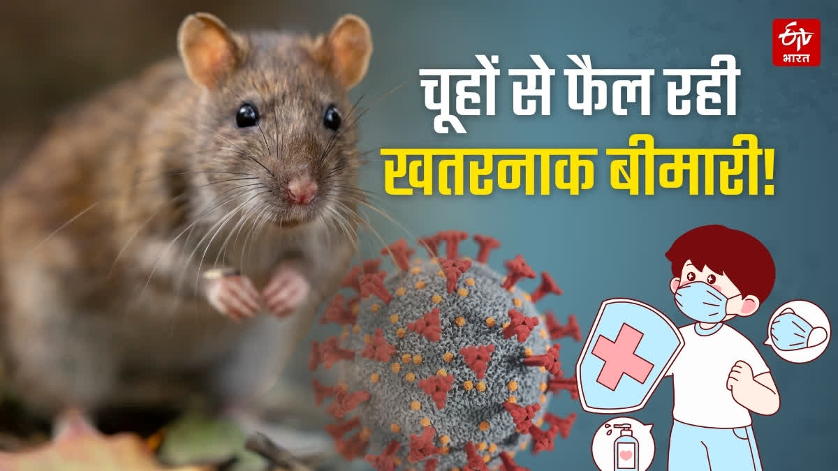 leptospirosis-spreading-in-ranchi-many-people-infected-in-two-months