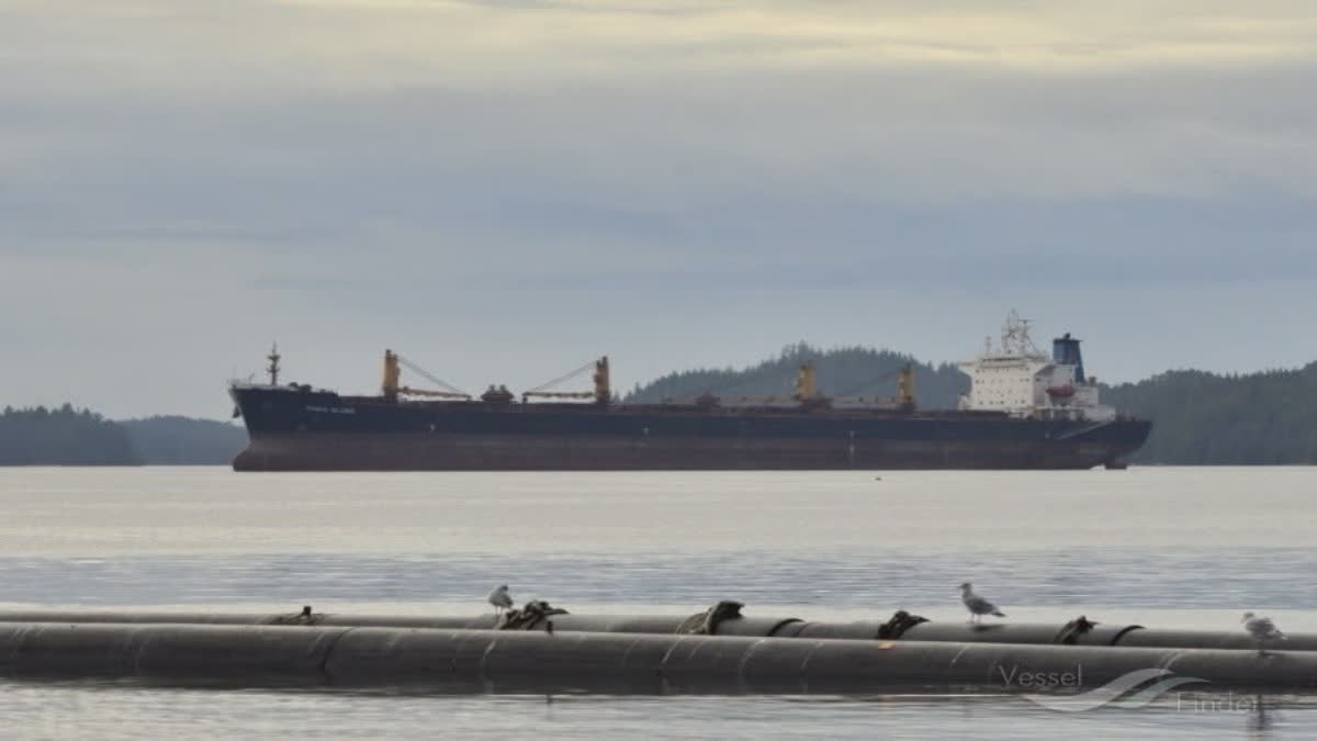 MV Ocean Winner sinking incident
