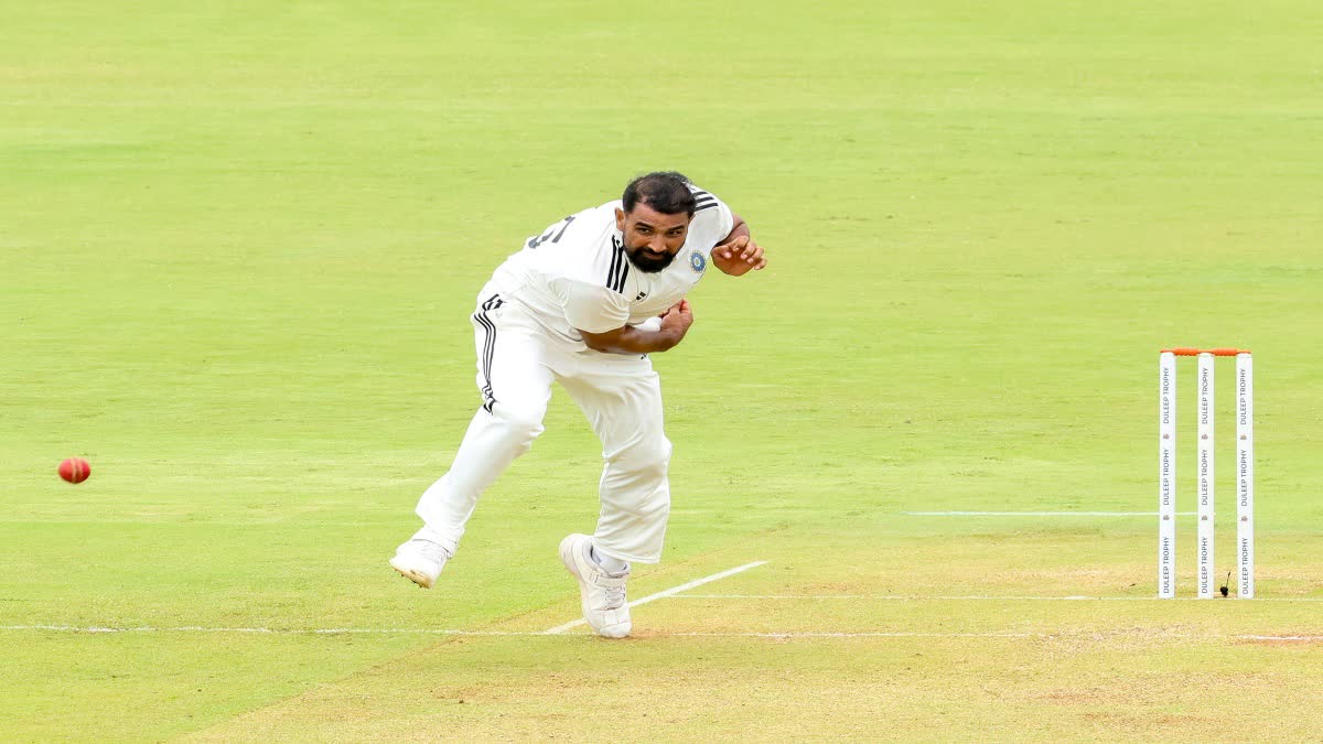 Mohammed Shami Completes 900 Wickets