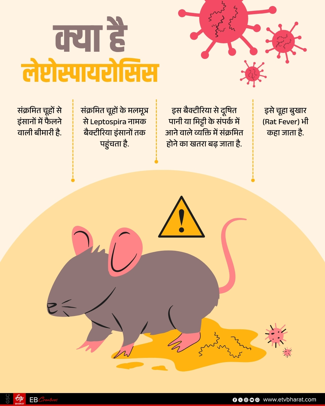 leptospirosis-spreading-in-ranchi-many-people-infected-in-two-months