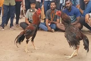 கோப்புப்படம்