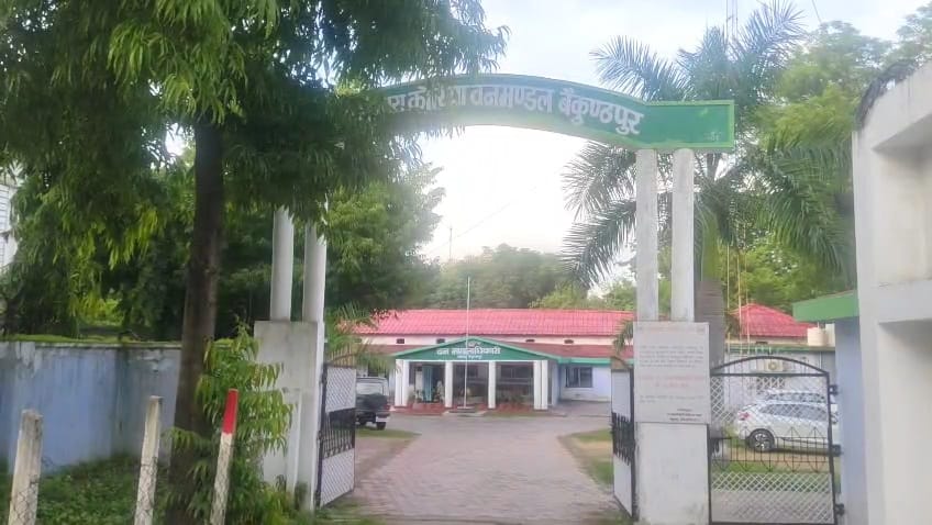 Case of fake forest rights lease