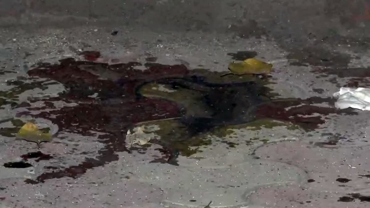 DELHI STUDENT ACID ATTACK CASE