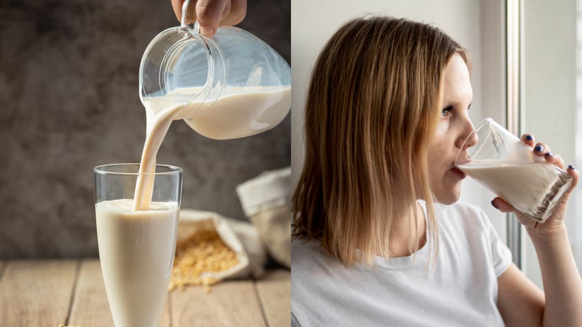 Understanding Milk Pasteurization
