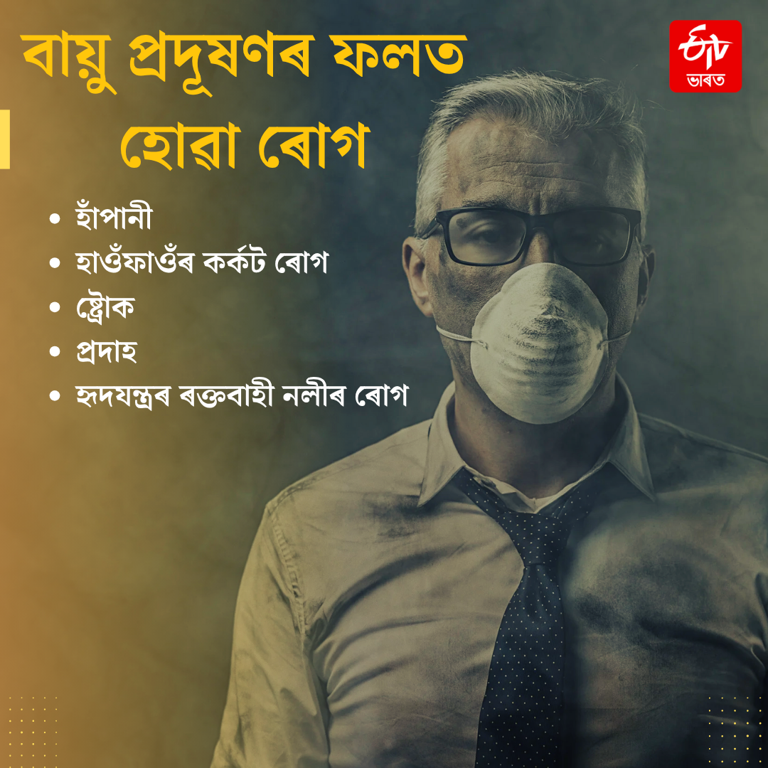 Can air pollution give you a heart attack? Learn how PM 2.5 increases the risk of stroke and cancer!