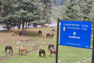 پہلگام گنڈولا پروجیکٹ پر سو سے ایک سو بیس کروڑ روپے خرج ہونے کا تخمینہ ہے