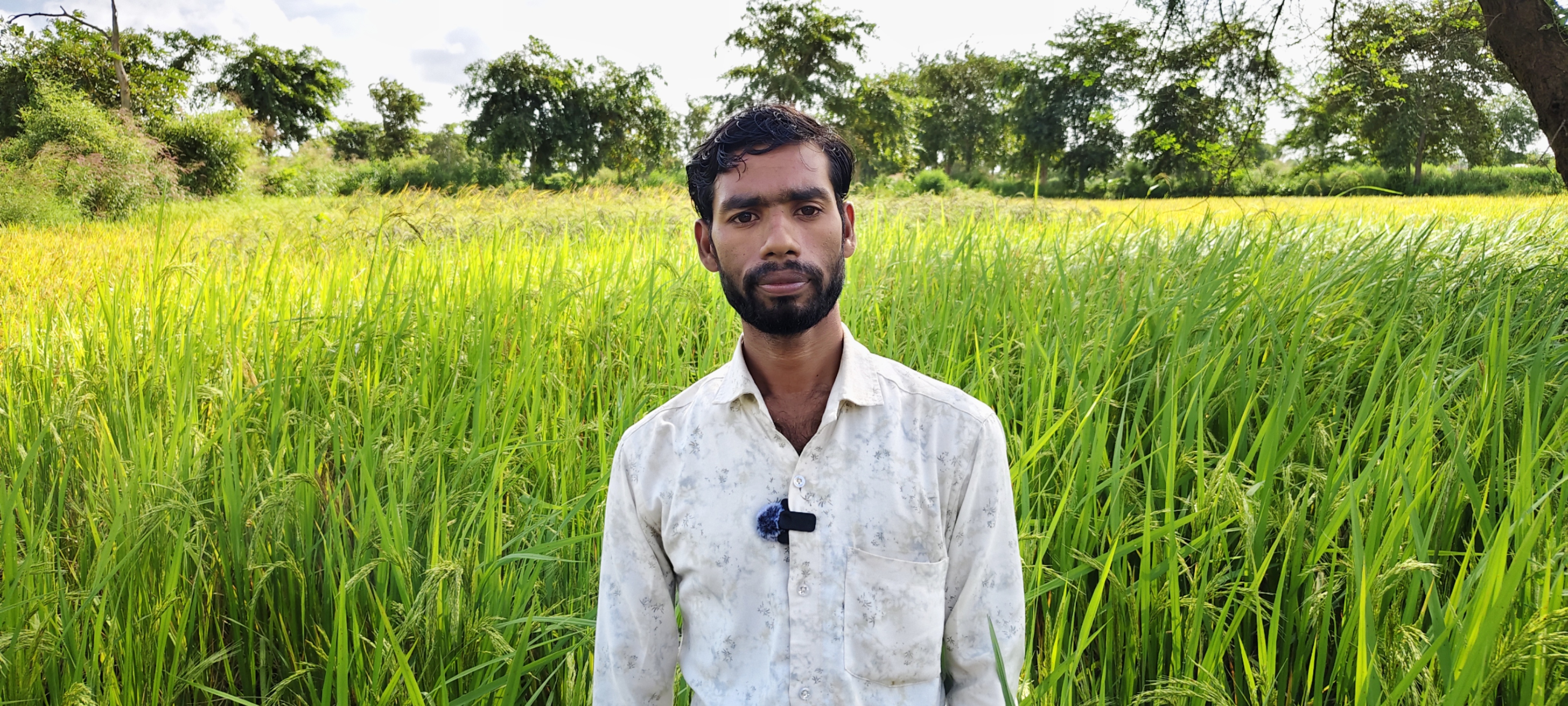 Dhamtari organic farming