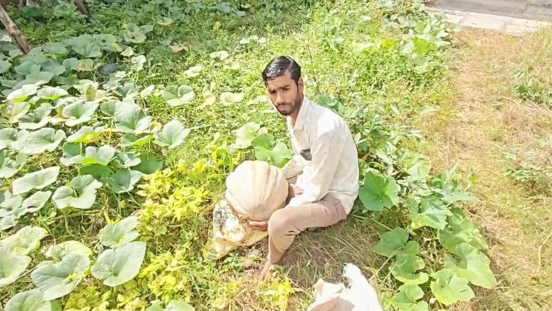 Thanendra Sahu farmer Award