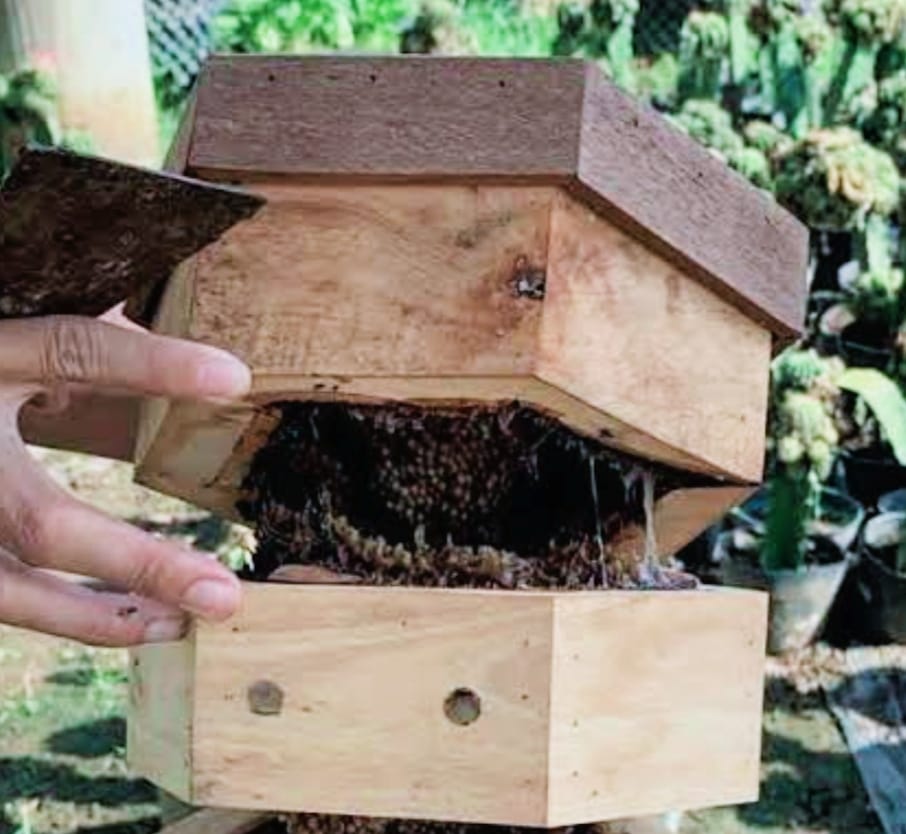 Tyagbir Hem Baruah College