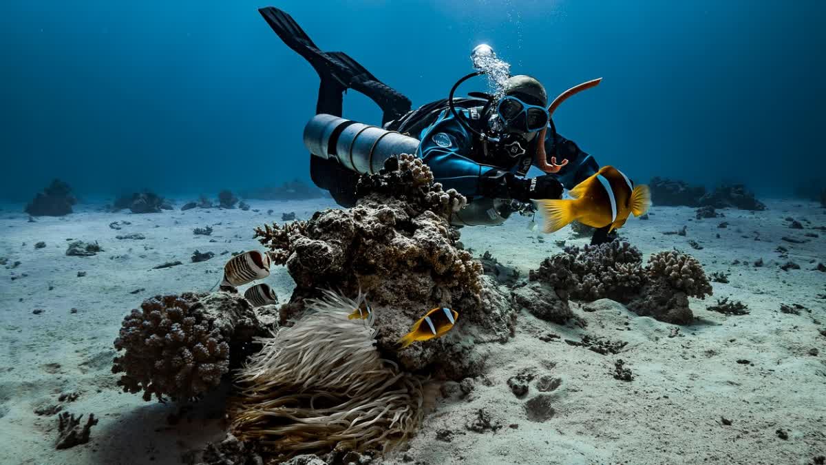 Representational Image