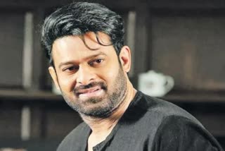 Sandeep Reddy Locks Prabhas