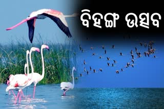Odisha Bihanga Utsav 2026