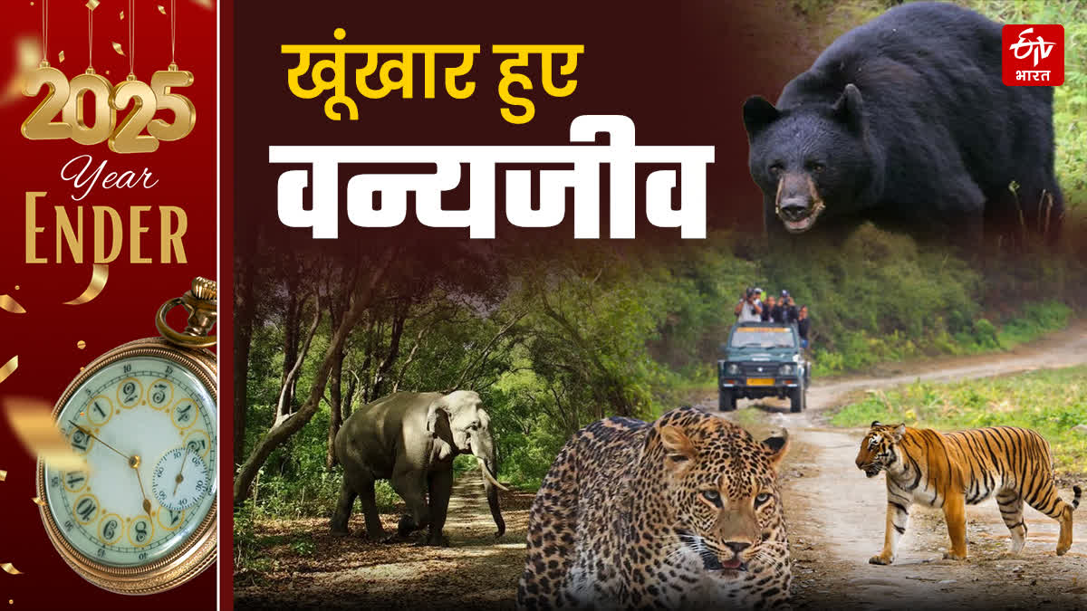 UTTARAKHAND WILDLIFE TERROR