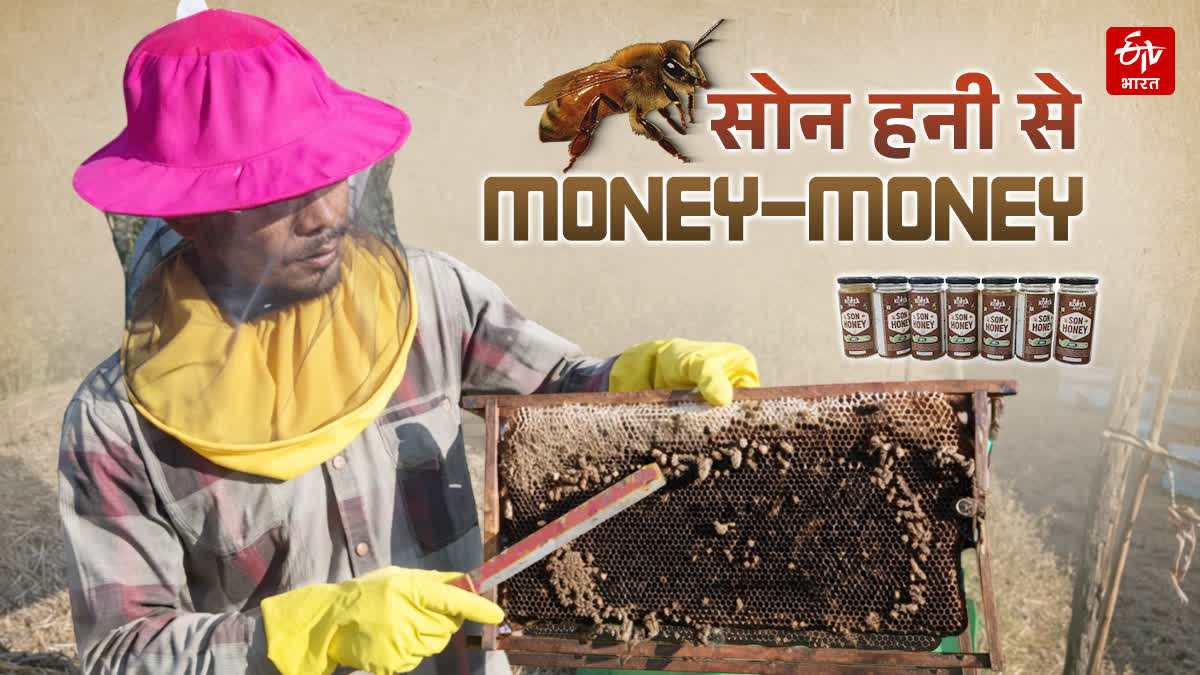 Honey production from Italian bees