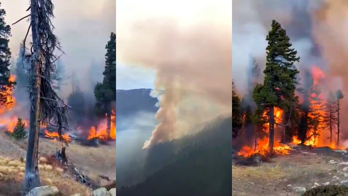 Asrang Lippa Forest Fire Kinnaur