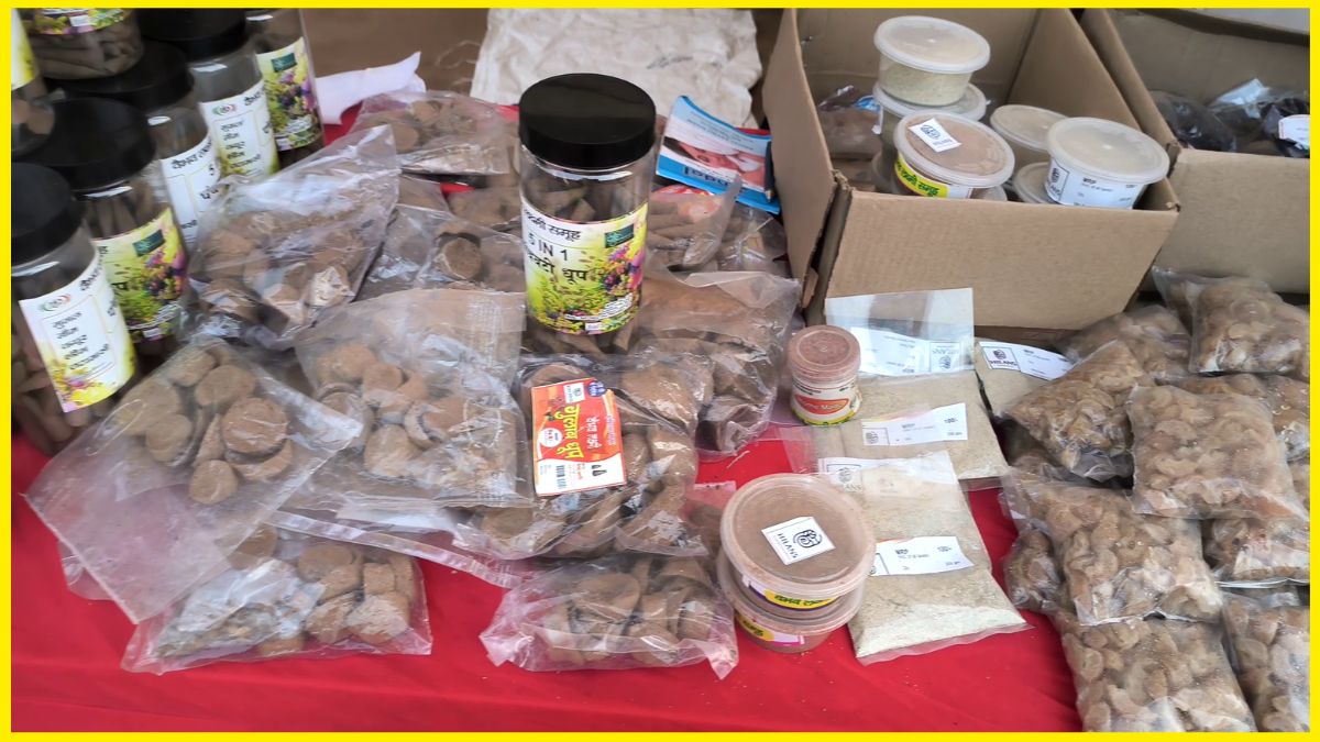 Faridabad Saras Mela Uttarakhand Sangeeta Verma Success story