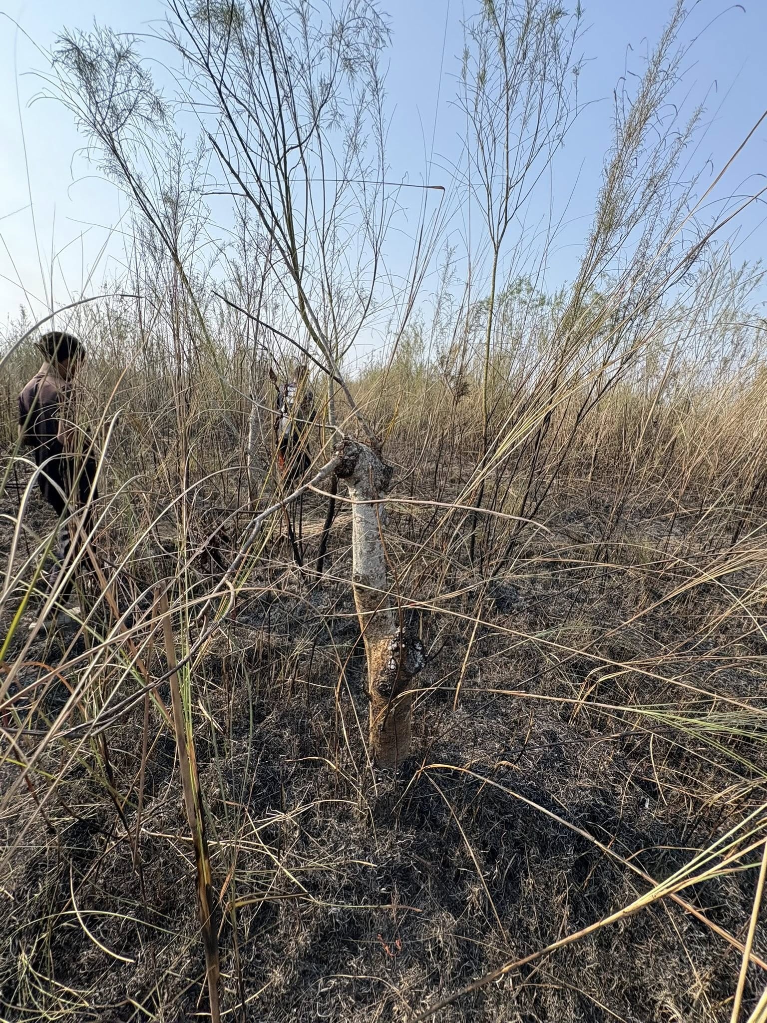 Molai Kathoni 2.0 fire incident