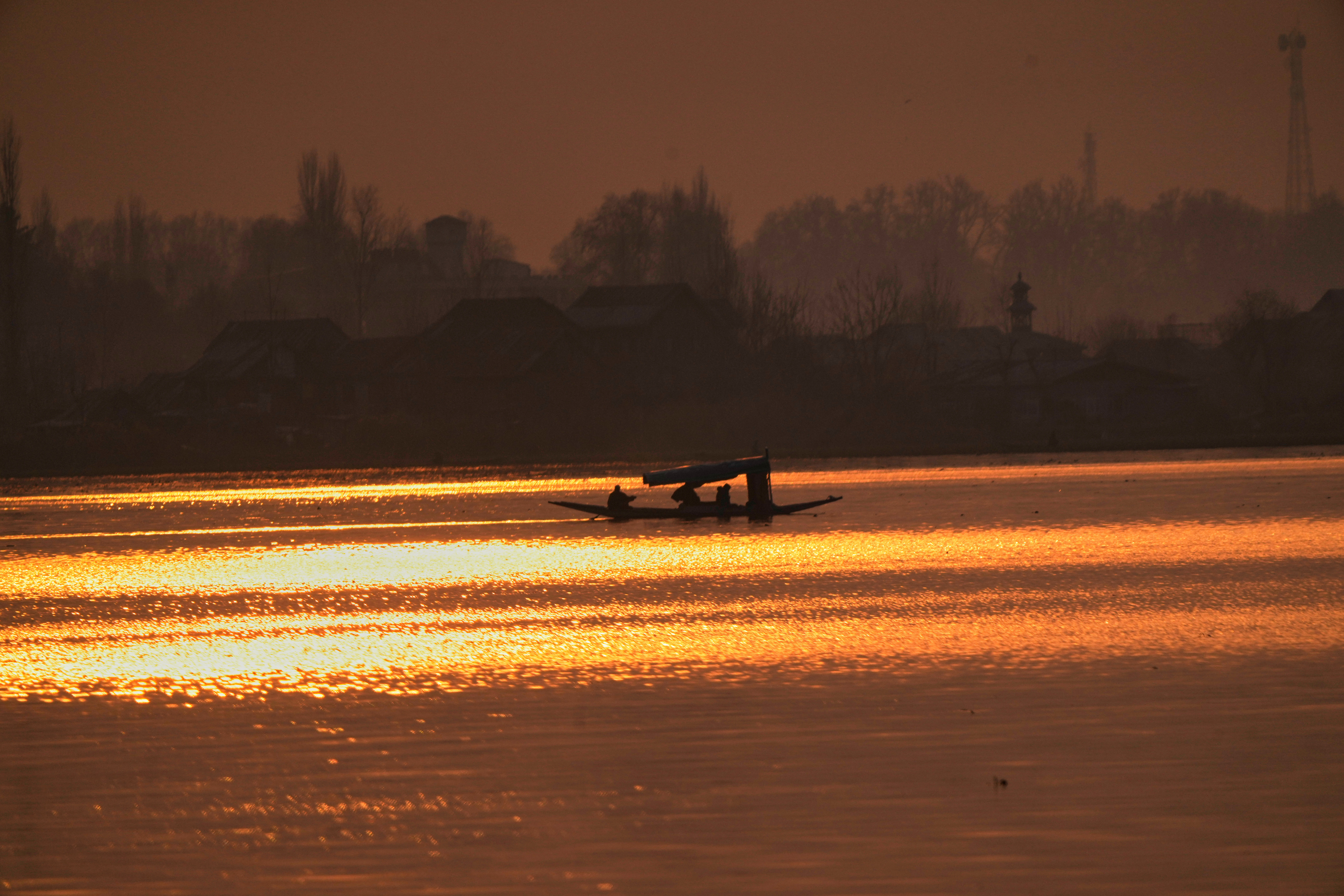 A shikara rows in the Dal lake at sunset on a cold winter day in Srinagar