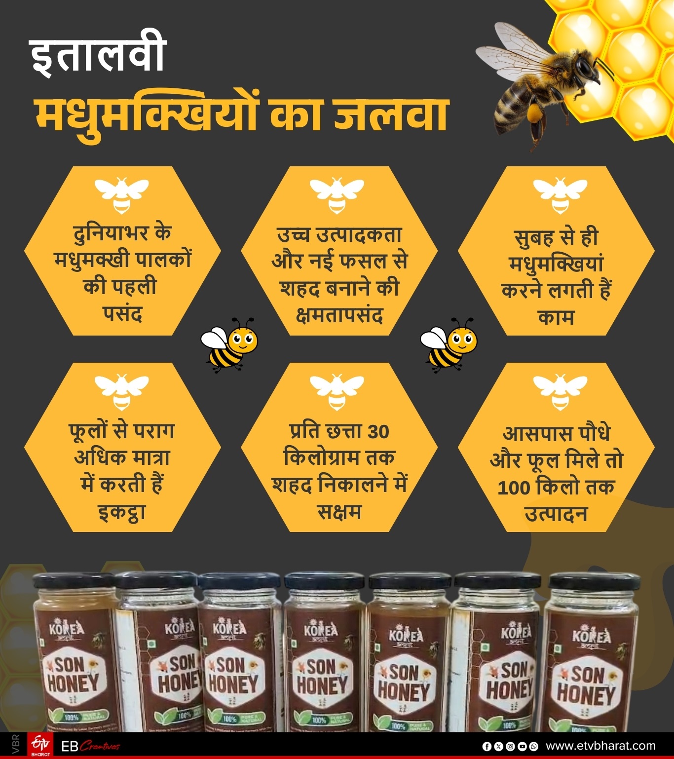 Earning from Italian Honey Bee