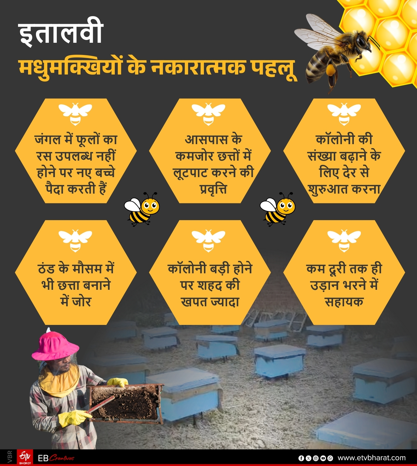 harm from italian bees