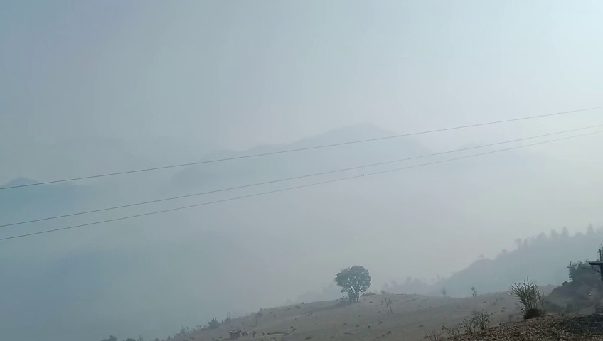 Chamoli Forest Fire